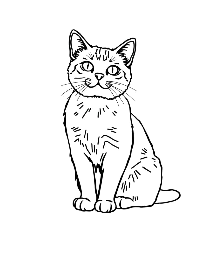 Cat line drawing to trace