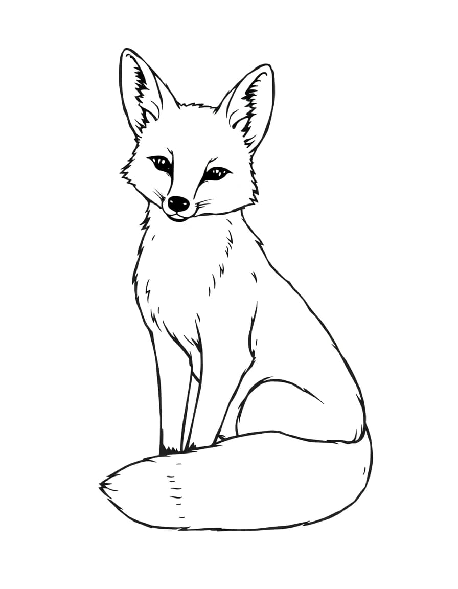 Fox line drawing to trace