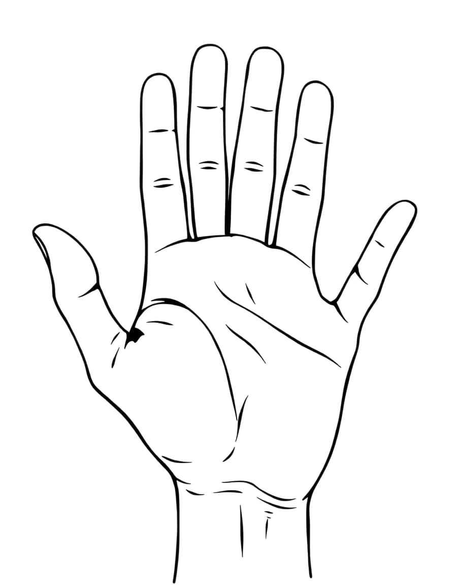 Hand line drawing to trace