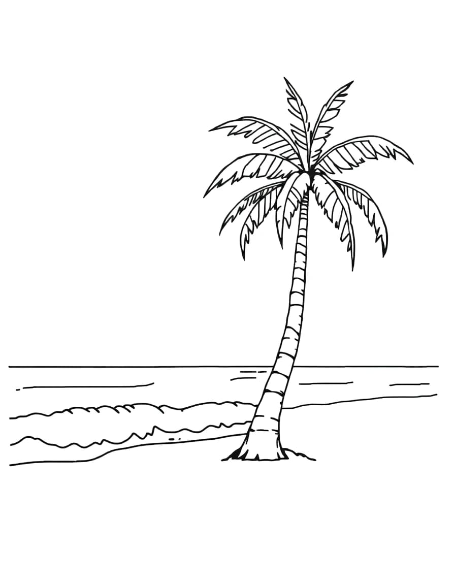 Palm tree on a beach line drawing to trace